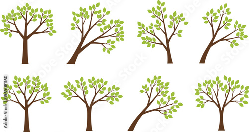 Set of Minimalist Continuous Line Art Botanical Illustrations Featuring Modern Leaf Branches and Floral Sprigs for Home Decor and Wellness Branding