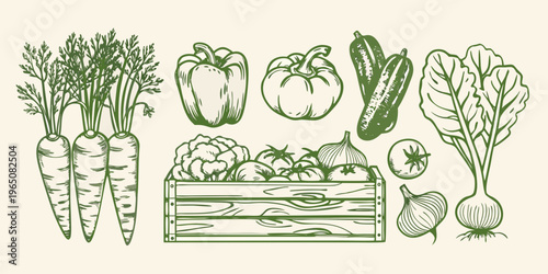 Fresh vegetables in a wooden crate botanical illustration silhouette