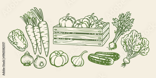 A bountiful harvest of sketched vegetables in a wooden crate silhouette