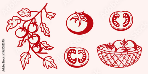 Red tomato illustrations with vine and basket a striking silhouette