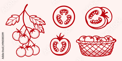 Red tomato illustrations featuring various forms and a vine silhouette