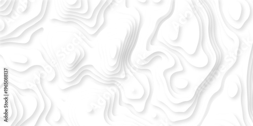 white topography map geography relief diagram texture design. Topography white background and black line world map texture design. Lines Topographic contour lines grid map seamless pattern.