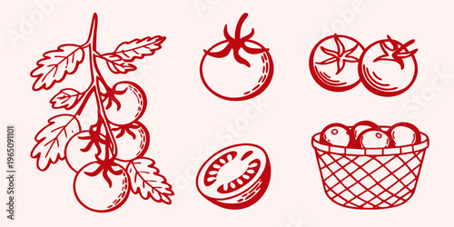 Red tomato illustrations with vine and basket hand drawn silhouette