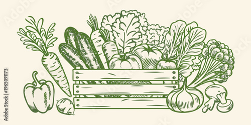 Fresh vegetables in a wooden crate a charming hand drawn silhouette