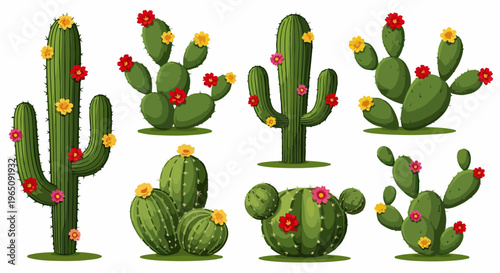 Conjunto de ilustraciones vectoriales de varios cactus del desierto con flores rojas y amarillas sobre un fondo blanco limpio y aislado.