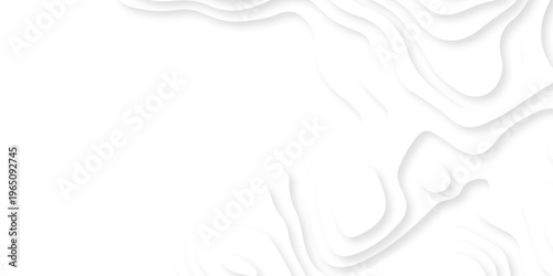 white topography map geography relief diagram texture design. Topography white background and black line world map texture design. Lines Topographic contour lines grid map seamless pattern.