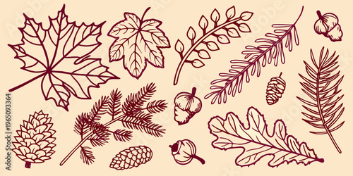 Autumn leaves and coniferous branches illustrated in a dark silhouette
