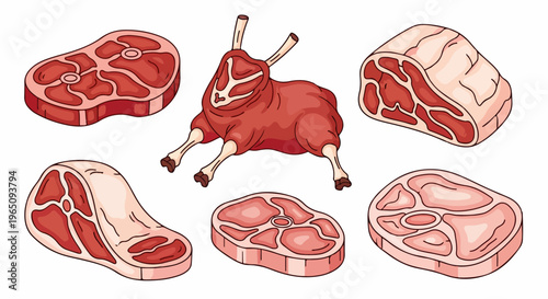 Collezione di illustrazioni vettoriali di diversi tagli di carne cruda come bistecche, costine e filetto di manzo su sfondo bianco isolato.
