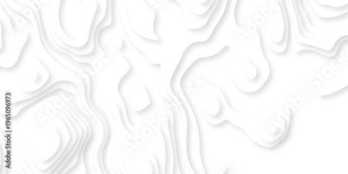 white topography map geography relief diagram texture design. Topography white background and black line world map texture design. Lines Topographic contour lines grid map seamless pattern.