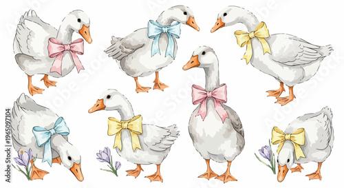 파스텔 톤의 분홍색, 파란색, 노란색 리본을 목에 두른 귀여운 흰 거위들의 수채화 일러스트레이션 세트로 빈티지한 감성과 코티지코어 스타일을 담아낸 다양한 포즈의 거위 캐릭터 디자인 요소 모음이며 흰 배경에 고립된 이미지입니다.