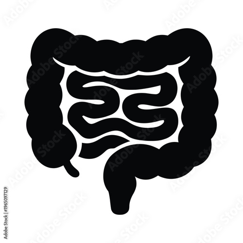 Silhouette vector icon of the human digestive system large and small intestines, gastroenterology