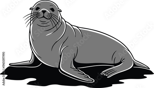 Seal sitting with extended flippers in stylized cartoon pose, marine animal illustration, nature anatomy concept, streamlined body, white background