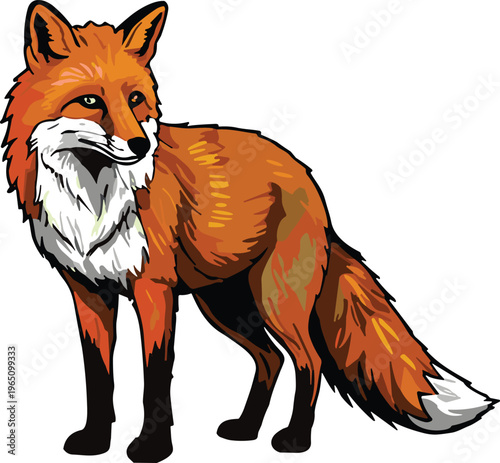 Red fox illustration, realistic fur, stylized animal, bushy tail, focused eyes, nature pose, bold lines, wild creature, forest mammal, standing