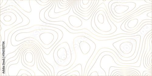 Abstract white golden gradient Topographic line map pattern background. Contour elevation topographic and textured Background Modern design with White background with topographic wavy patte. 