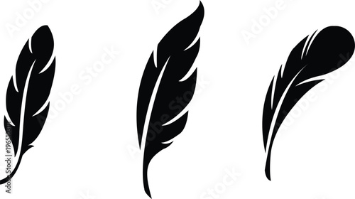 Three black feather silhouettes on a white background