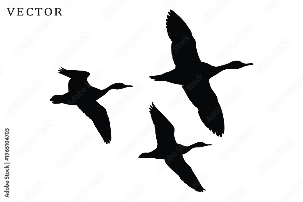 Obraz premium Canadian goose bird flying silhouette vector, Goose bird silhouette vector illustration