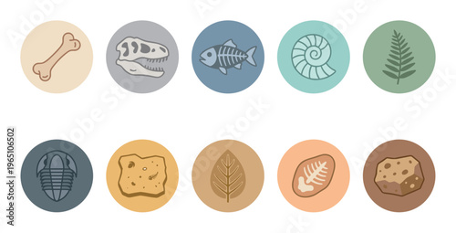 Set of ten paleontology and fossil icons featuring a dinosaur skull, ammonite, trilobite, fish skeleton, and prehistoric plant imprints in a flat, minimalist vector style