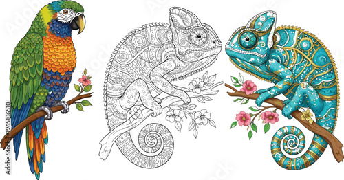 Colorful parrot and ornamental chameleon illustration set featuring vibrant tropical bird, detailed line art reptile, and decorative patterned wildlife vector design
