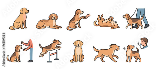 Collection of cute cartoon dog illustrations showing various training activities like sitting, walking on a leash, jumping agility hurdles, and following commands for obedience