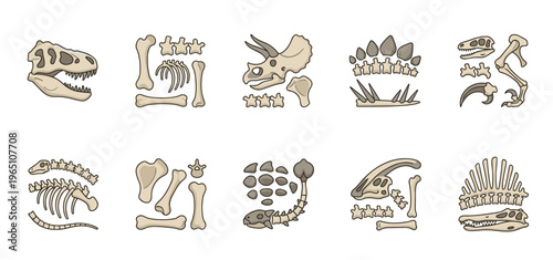 Various cartoon dinosaur bones and prehistoric animal skeleton fragments are displayed in a fun and educational collection for children.