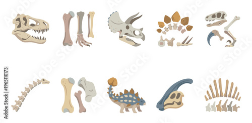 Various dinosaur fossils and bones collection for educational purposes, showcasing diverse prehistoric creature remains in a charming flat vector illustration style.