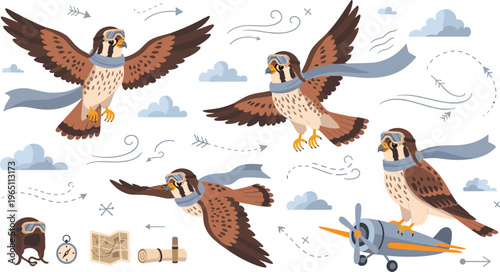 Falcon Bird Flying Poses Vector Set with Aviation Elements, Sky Clouds, Navigation Paths, and Retro Aircraft Illustration for Wildlife and Travel Design