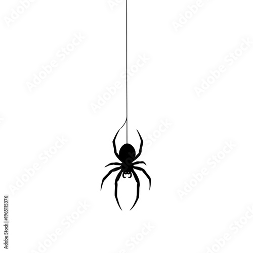 Creepy Silhouette of a Spider Descending from a Silk Web Line Insect Theme