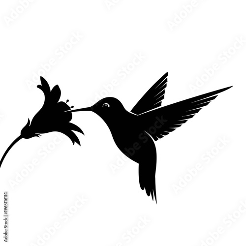 Delicate Silhouette of a Tiny Hummingbird Sipping Nectar Fast Wings Wildlife Theme