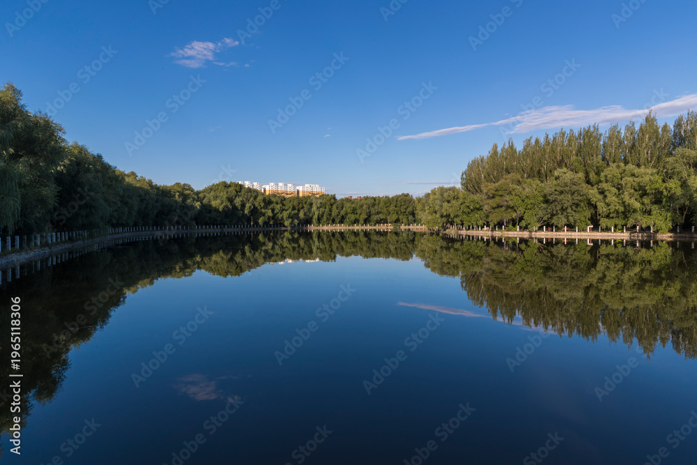 Fototapeta premium reflection of trees in lake