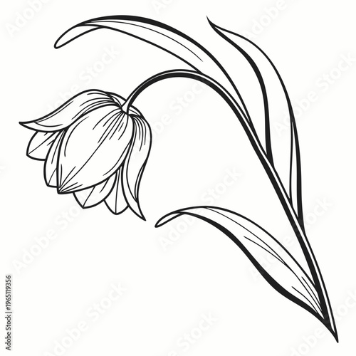 Graceful line drawing of a tulip with delicate petals and long slender leaves