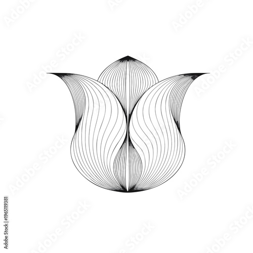 Intricate geometric contour lines forming a symmetrical abstract floral shape