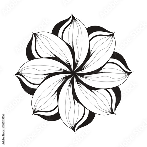 Elegant black and white sketch of a stylized flower with intricate petal details