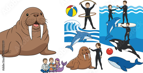 Marine Animal Vector Collection with Walrus, Dolphin, Whale, Orca, Trainers, and Aquarium Scenes, Cartoon and Realistic Wildlife Illustrations for Digital, Educational, and Nature Designs
