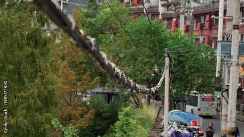 Closeup frayed cable over busy street with shallow depth of field blurring vendors and umbrellas below, utility pole anchors view, tension in wire leads eye across redbrick facades and green trees,