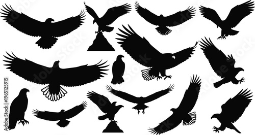 Black silhouette illustration of eagles in flight, soaring, diving, landing, perched, bird of prey motion and strength design