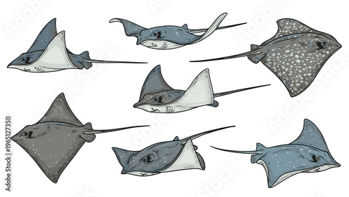 Set of realistic stingray illustrations shown from different angles and with various spotted skin patterns.