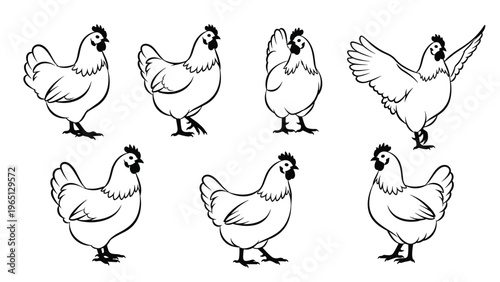 Hand-drawn sketches of hens in various poses showing the natural movement and behavior of farm poultry on white.