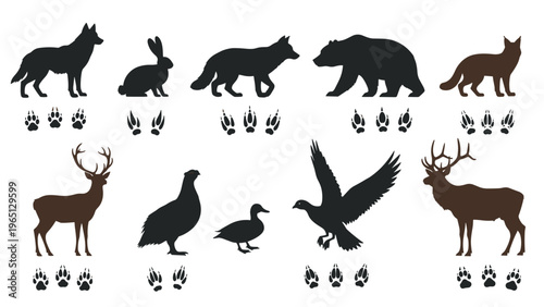 Wild animal silhouettes paired with their respective footprint tracks including wolf, bear, deer, and various bird species.