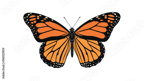 Realistic illustration of a monarch butterfly with its wings spread showing the intricate black and orange wing patterns.
