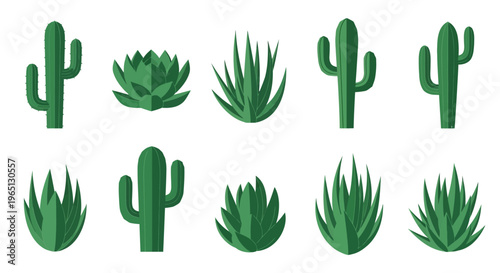 Green cacti and succulents plants collection.
