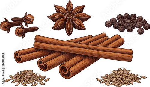 Assorted aromatic spices including cinnamon sticks star anise cloves peppercorns and cumin seeds isolated vector food illustration