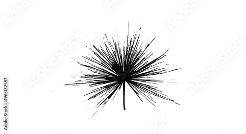 Abstract black ink splash resembling a starburst or dandelion seed head against a white background.