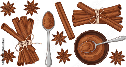 Cinnamon sticks and star anise spice collection with ground cinnamon powder in bowl and spoon vector illustration isolated background