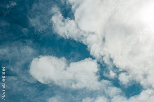 High Quality Natural Light Photography Clean Minimal Commercial Background Image