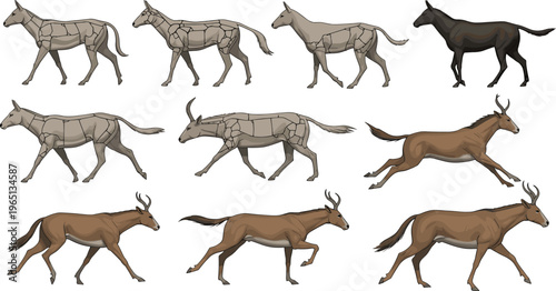 Running Horse and Antelope Vector Collection with Galloping, Walking, and Standing Poses, Realistic Wild and Domestic Animals Illustrations for Digital, Educational, and Nature Designs