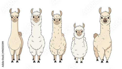 Set of five adorable cartoon llamas in different poses and expressions with fluffy white fur and friendly faces.