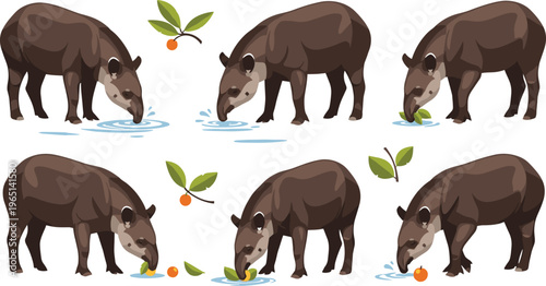 Tapir Drinking Water and Eating Fruit Illustration Set for Wildlife, Nature, and Animal Design
