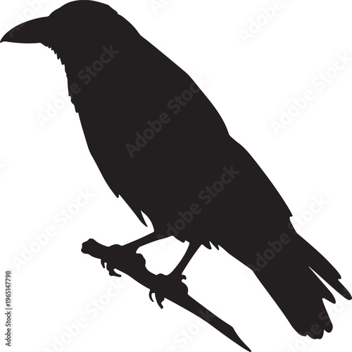 Silhouette of a crow perched on a branch against a white background