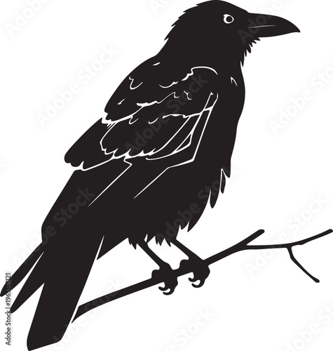 raven on a branch