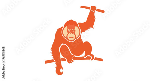 Orangutan